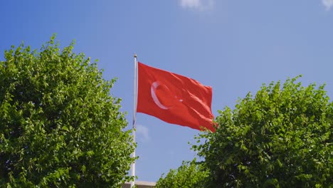 Turkish-flag-waving-among-the-green-trees.